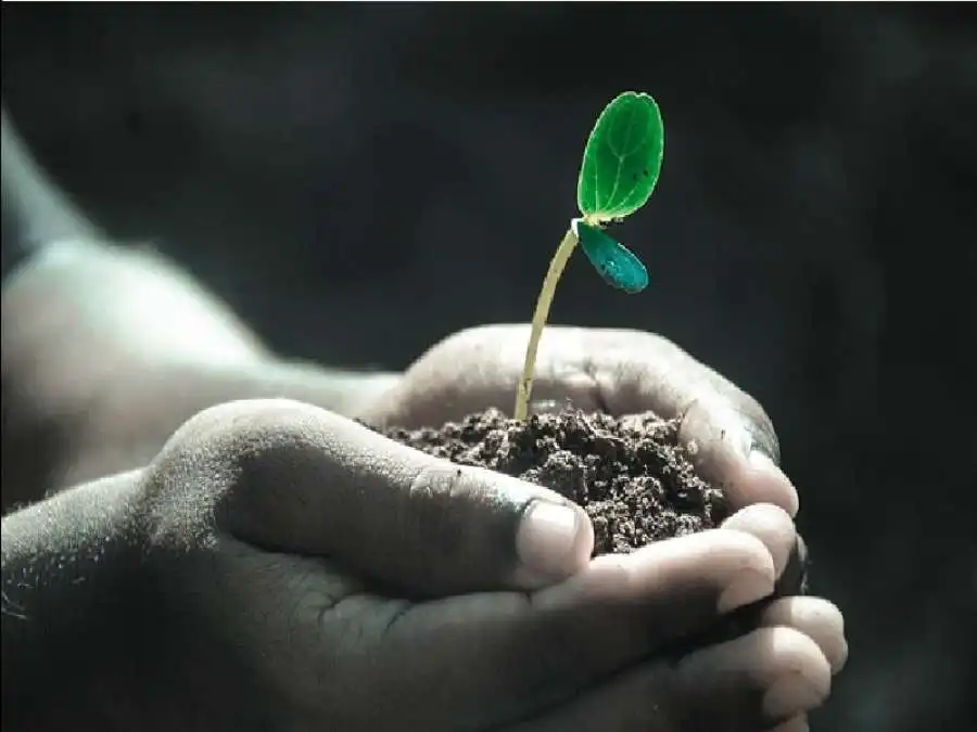 مدار الساعة,شؤون دينية