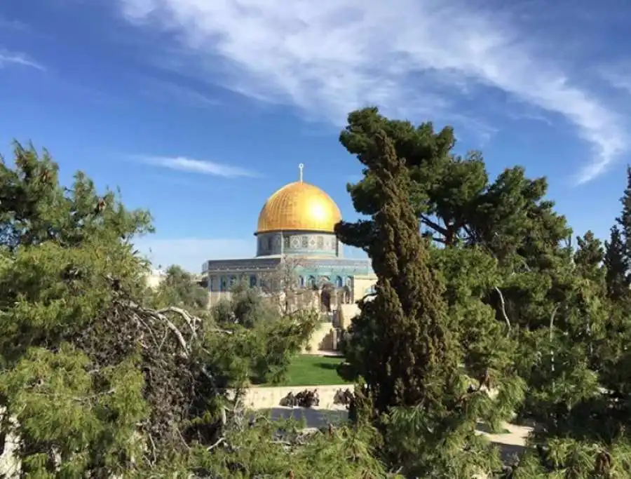 مدار الساعة,أخبار الأردن,اخبار الاردن,الاتحاد الأوروبي,الأمم المتحدة,المملكة العربية السعودية,جامعة الدول العربية