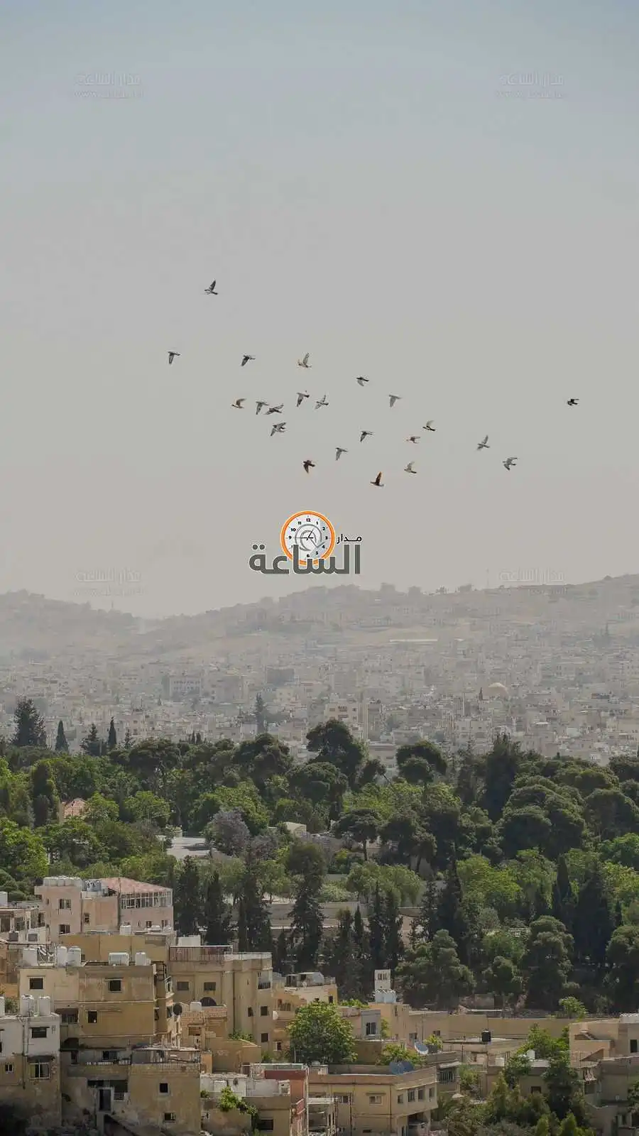 مدار الساعة,أخبار الأردن,اخبار الاردن