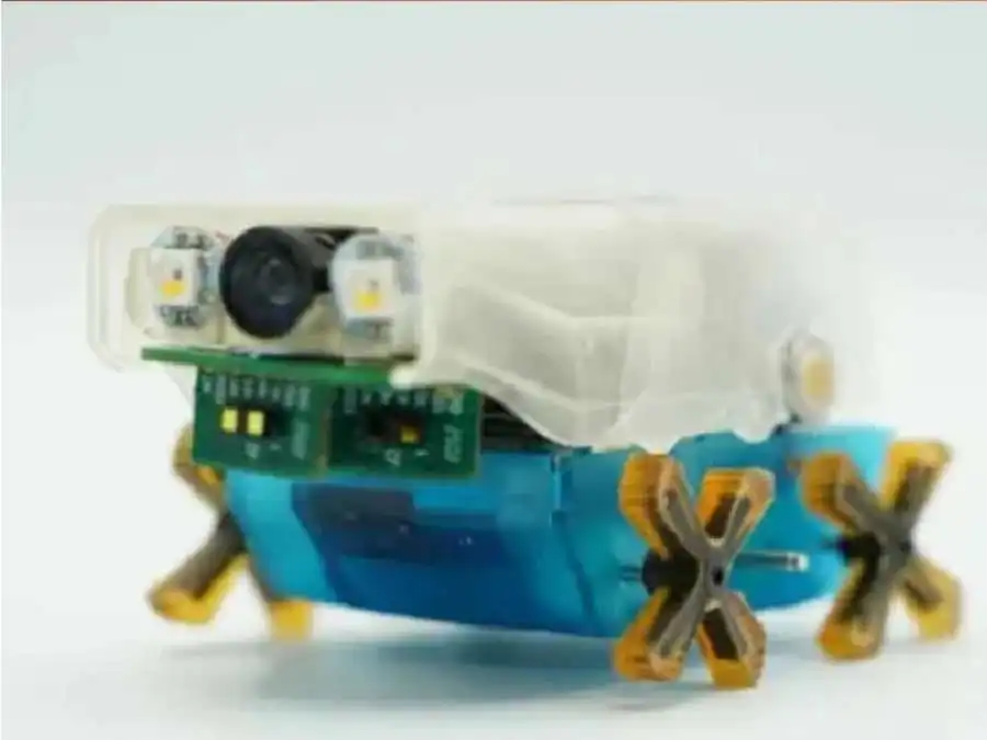 مدار الساعة,أخبار الصحة والأسرة