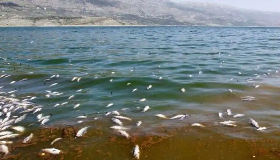 مدار الساعة,أخبار عربية ودولية