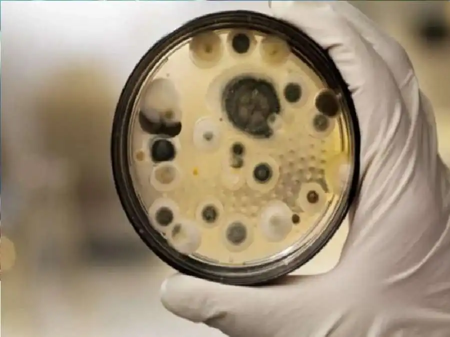 مدار الساعة,أخبار الصحة والأسرة