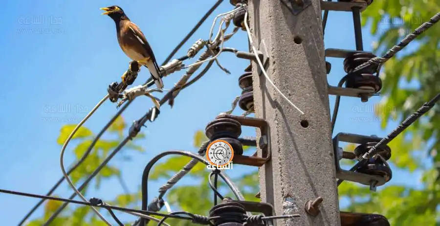 مدار الساعة,أخبار الأردن,اخبار الاردن