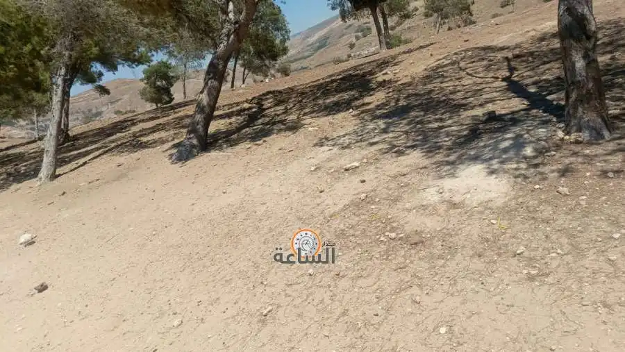 مدار الساعة,Video,فيديو,أخبار الأردن,اخبار الاردن