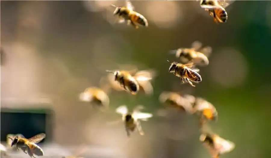 مدار الساعة,أخبار الصحة والأسرة