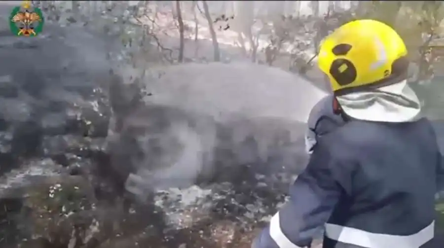 مدار الساعة,أخبار الأردن,اخبار الاردن