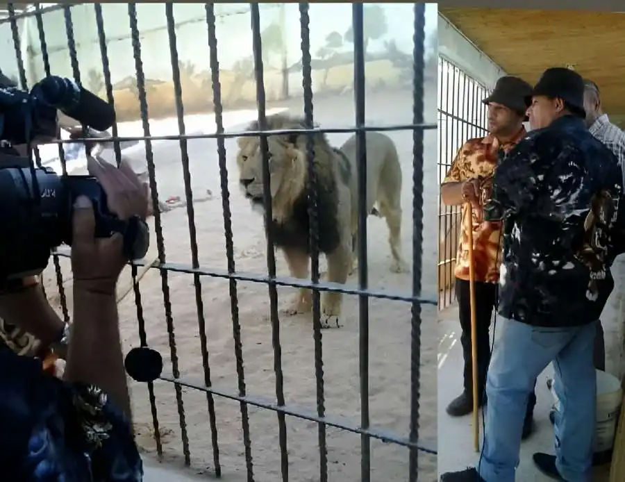 مدار الساعة,مناسبات أردنية