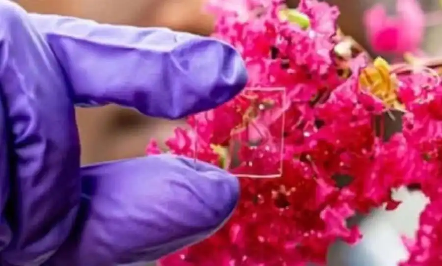 مدار الساعة,أخبار الصحة والأسرة,درجات الحرارة