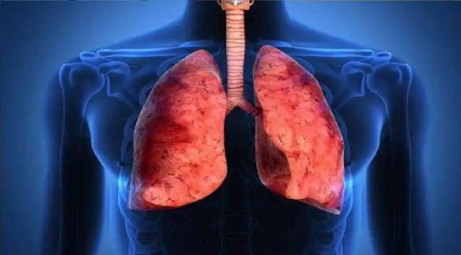 مدار الساعة,أخبار الصحة والأسرة