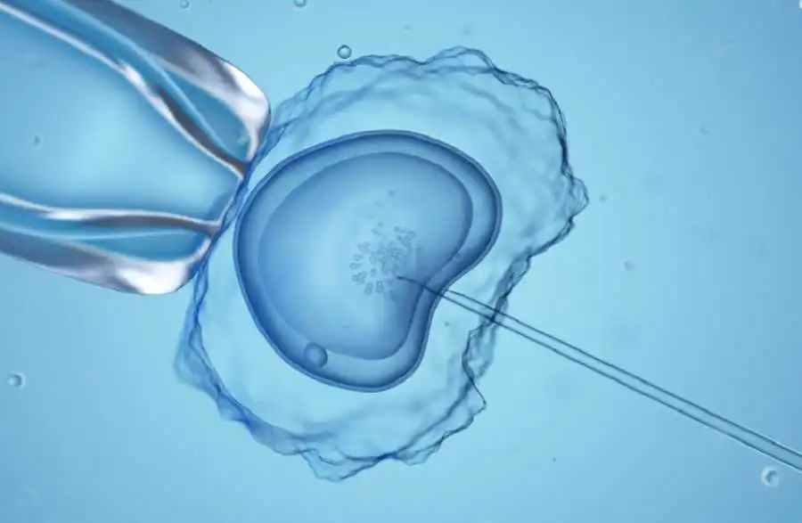 مدار الساعة,أخبار خفيفة ومنوعة