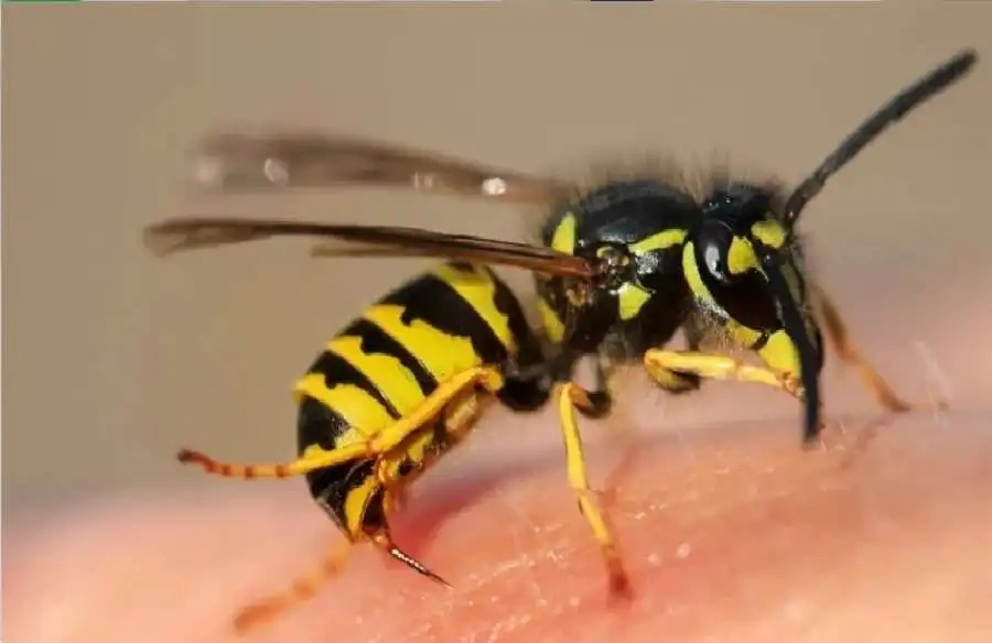 مدار الساعة,أخبار الصحة والأسرة