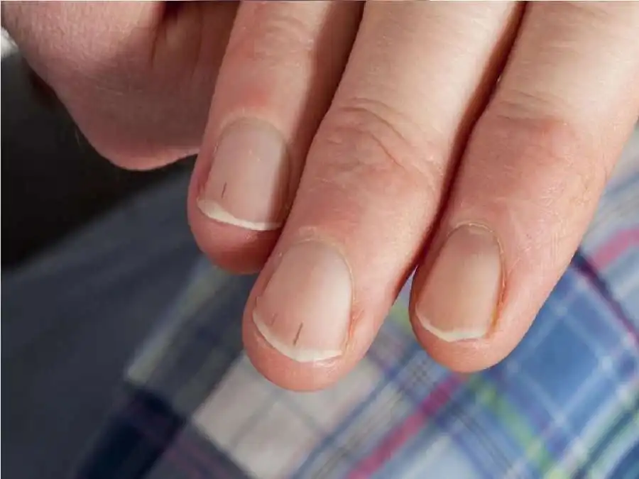 مدار الساعة,أخبار الصحة والأسرة