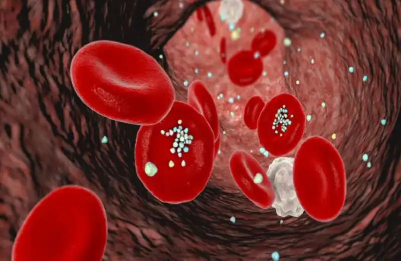 مدار الساعة,أخبار خفيفة ومنوعة,أخبار الصحة والأسرة