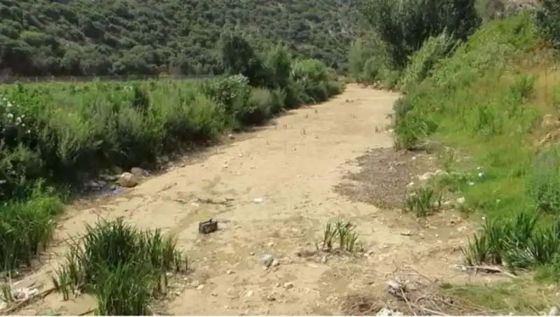 مدار الساعة,أخبار عربية ودولية