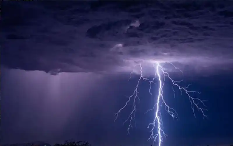 مدار الساعة,أخبار الصحة والأسرة