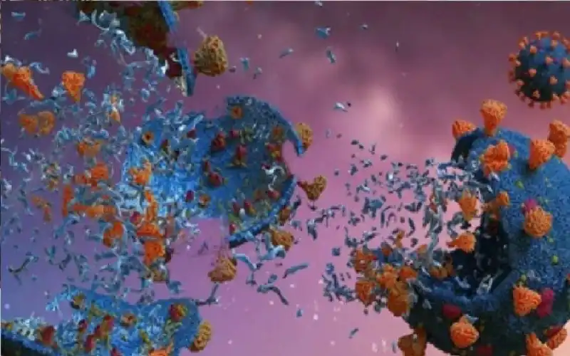 مدار الساعة,أخبار الصحة والأسرة,كورونا,وزارة الصحة