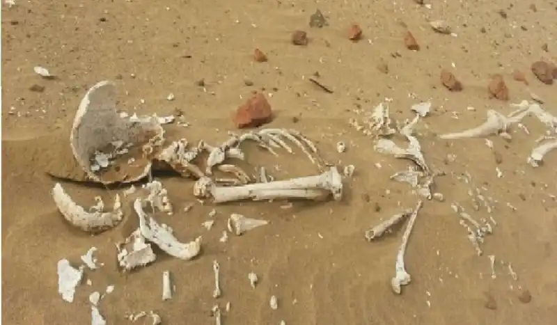 مدار الساعة,شؤون دينية