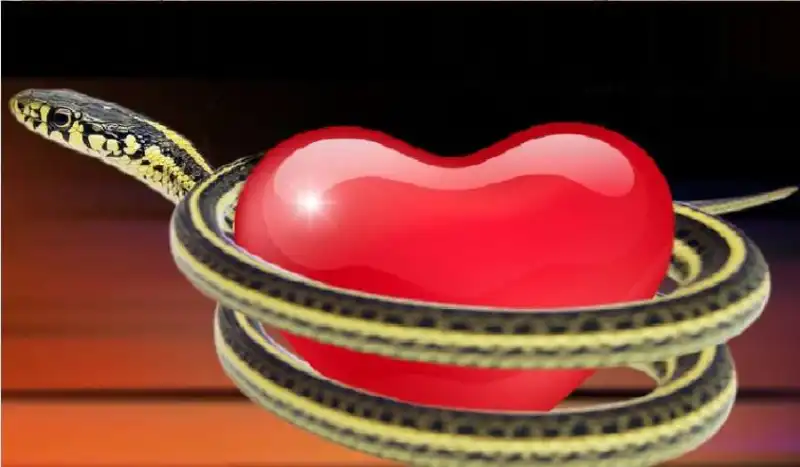 مدار الساعة,شؤون دينية