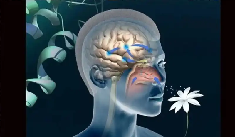 مدار الساعة,أخبار الصحة والأسرة