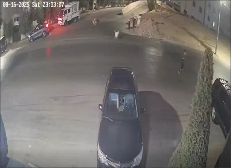 مدار الساعة,Video,فيديو,أخبار الأردن,اخبار الاردن