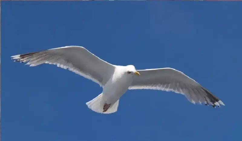 مدار الساعة,أخبار الصحة والأسرة