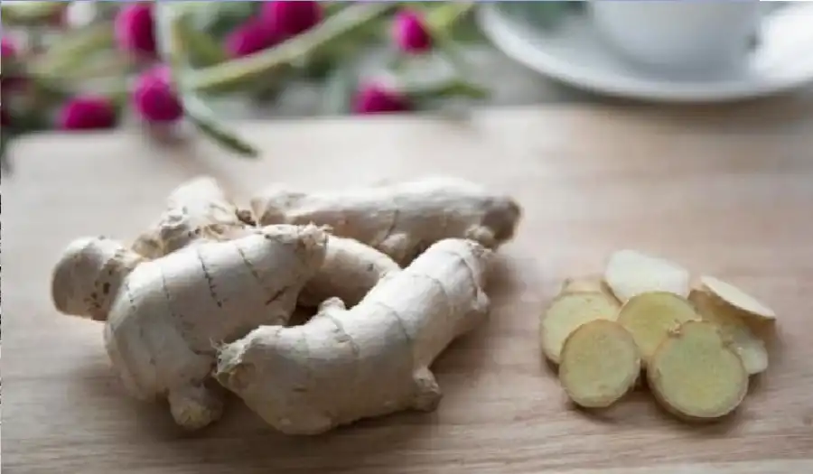 مدار الساعة,أخبار الصحة والأسرة