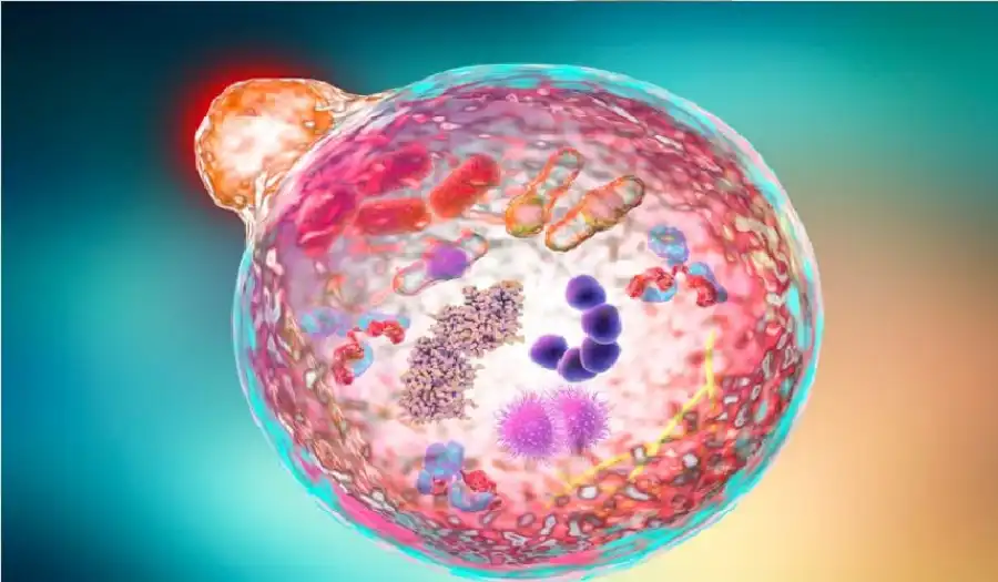 مدار الساعة,أخبار الصحة والأسرة