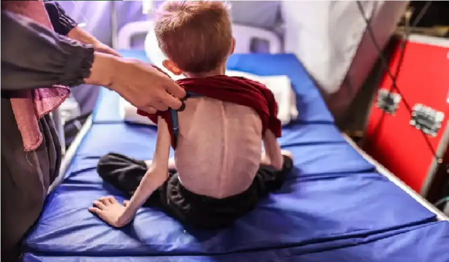 مدار الساعة,شؤون دينية,رئيس الوزراء,قطاع غزة