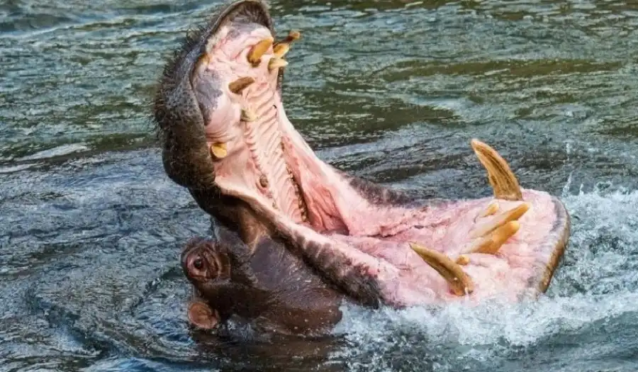 مدار الساعة,أخبار الصحة والأسرة