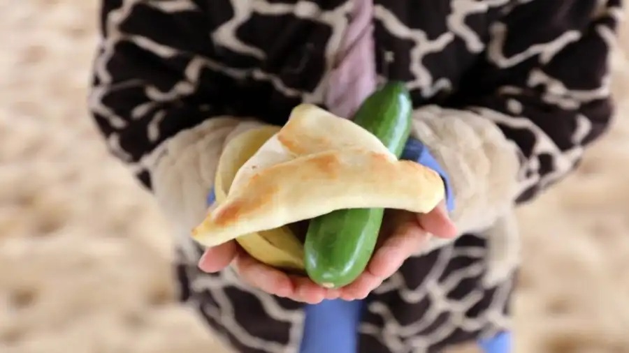 مدار الساعة,أخبار الأردن,اخبار الاردن,وزارة التربية