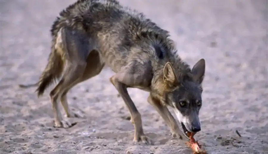 مدار الساعة,أخبار الأردن,اخبار الاردن,وزارة الصحة