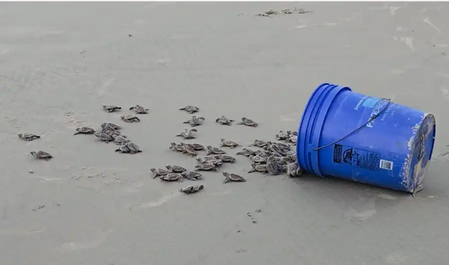 مدار الساعة,أخبار خفيفة ومنوعة,مناسبات أردنية