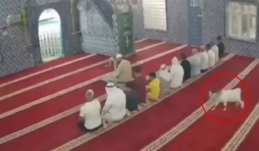 مدار الساعة,أخبار الصحة والأسرة