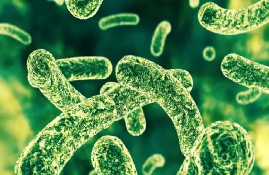 مدار الساعة,أخبار الصحة والأسرة