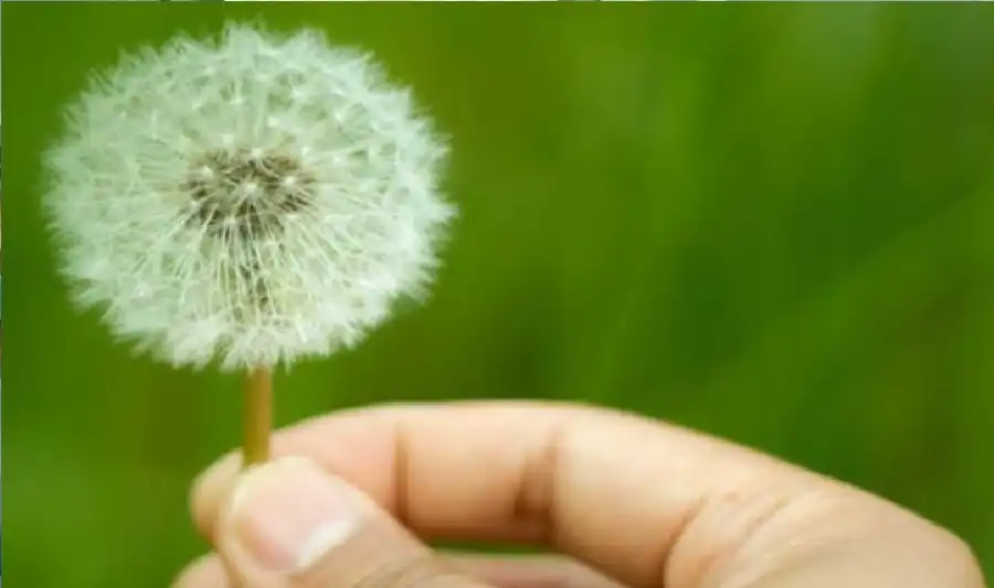 مدار الساعة,شؤون دينية