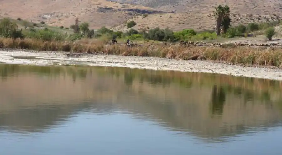 مدار الساعة,أخبار الأردن,اخبار الاردن,سلطة وادي الأردن,وادي الأردن