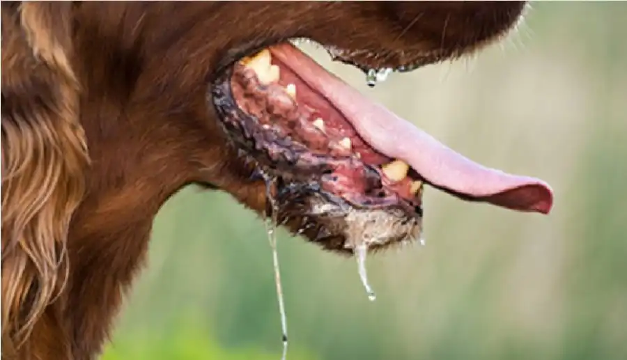 مدار الساعة,شؤون دينية