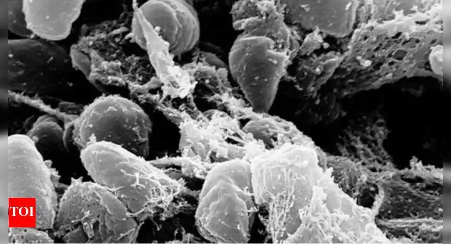 مدار الساعة,أخبار الأردن,اخبار الاردن