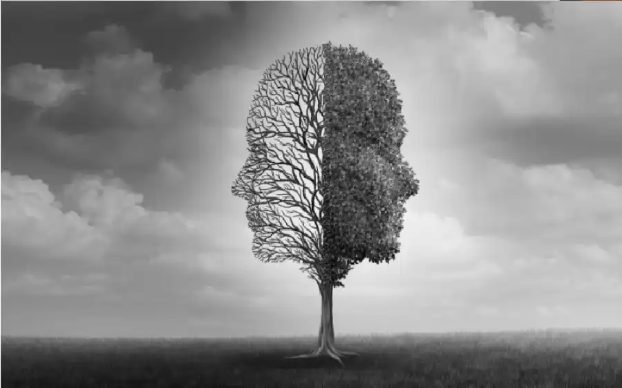 مدار الساعة,أخبار الصحة والأسرة