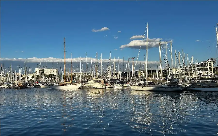 مدار الساعة,أخبار عربية ودولية,وزارة الصحة,الأمم المتحدة,قطاع غزة