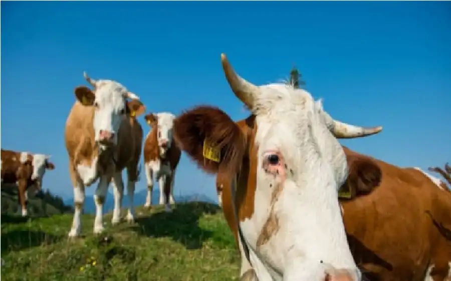 مدار الساعة,أخبار الصحة والأسرة