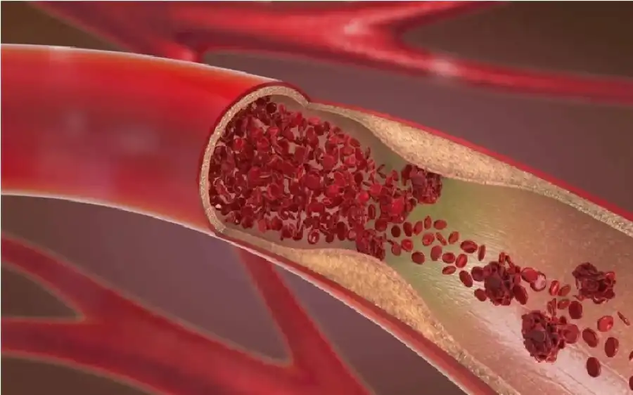 مدار الساعة,أخبار الصحة والأسرة