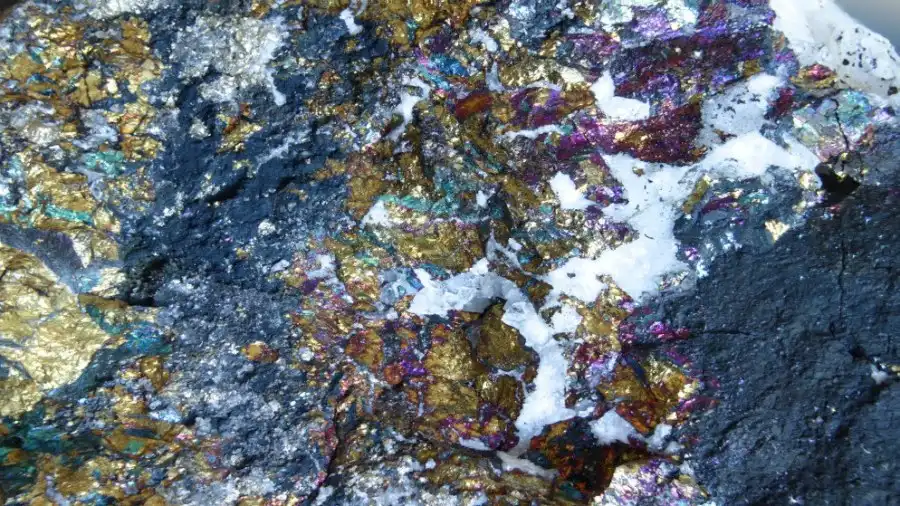 مدار الساعة,أخبار الأردن,اخبار الاردن,ديوان التشريع والرأي,وزارة الطاقة,البحر الميت