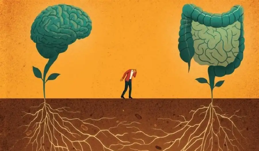 مدار الساعة,أخبار الصحة والأسرة