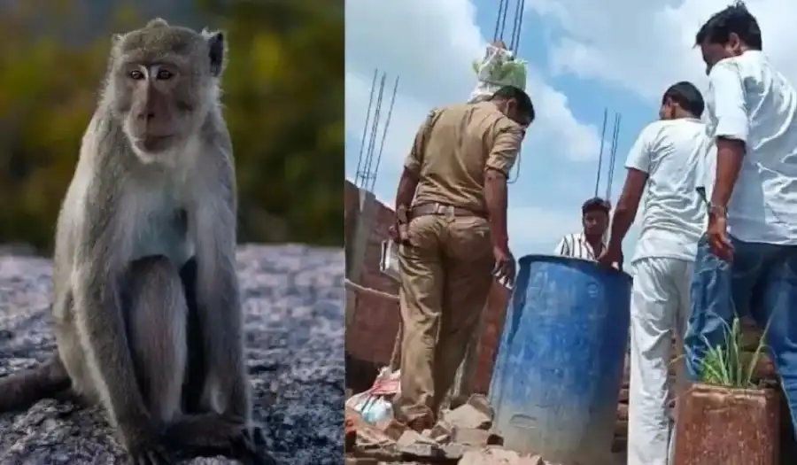 مدار الساعة,أخبار الصحة والأسرة