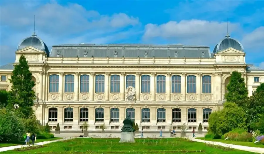 مدار الساعة,أخبار الصحة والأسرة