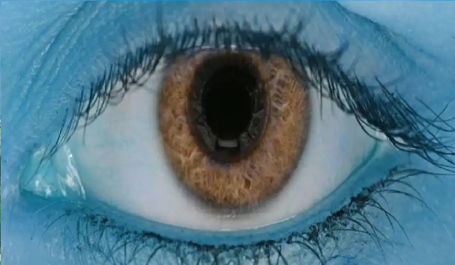 مدار الساعة,أخبار الصحة والأسرة