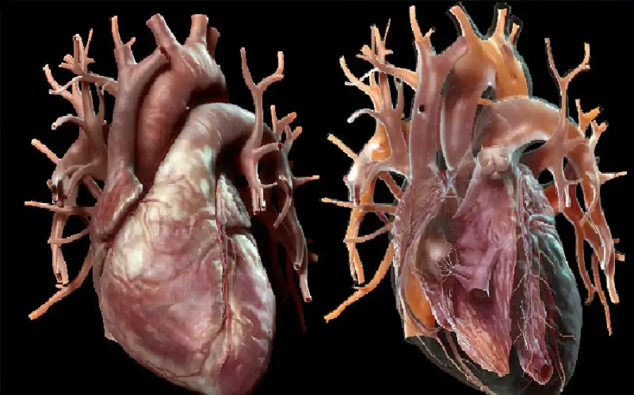 مدار الساعة,أخبار الصحة والأسرة