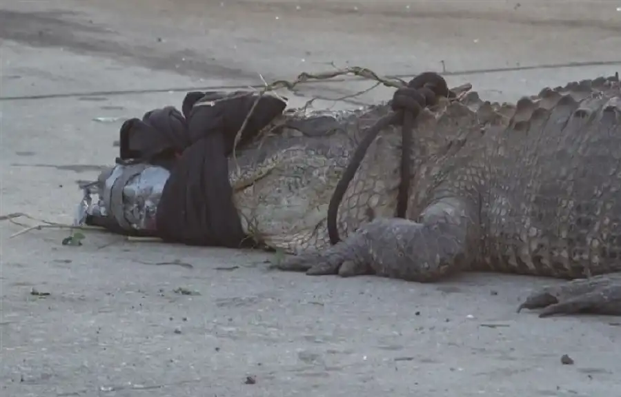 مدار الساعة,أخبار الصحة والأسرة