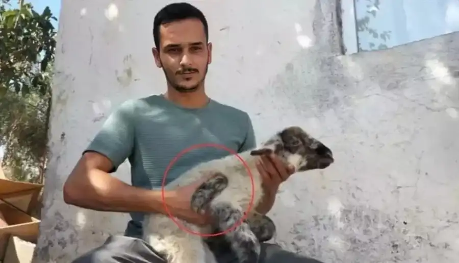 مدار الساعة,أخبار خفيفة ومنوعة,وسائل التواصل الاجتماعي